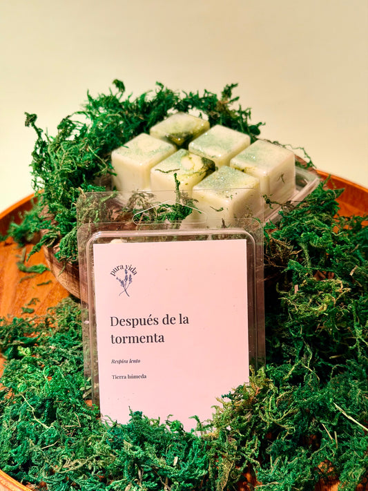 Wax Melts Después de la Tormenta